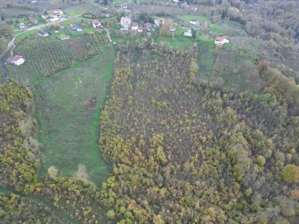 Satılık Arsa - Tagorek Mahallesi, 30000 m² — görsel 7