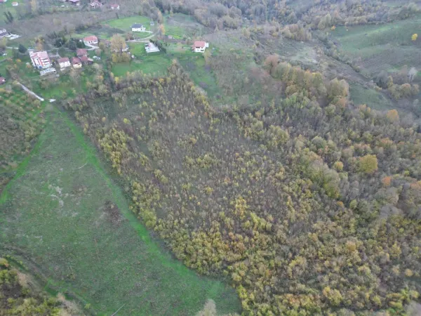 Satılık Arsa - Tagorek Mahallesi, 30000 m² — görsel 6