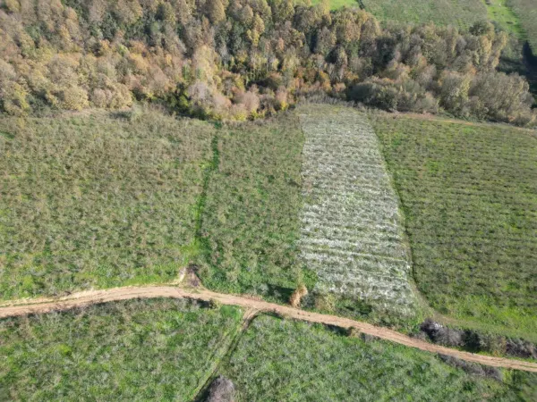 Satılık Arsa - Lütfiyeköşk Mahallesi, 2700 m² — görsel 6