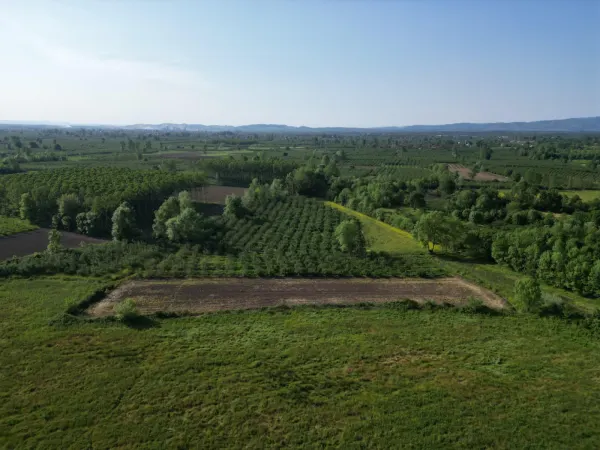 Hendek Sarıyer'de 4443m² Satılık Tarla — görsel 2