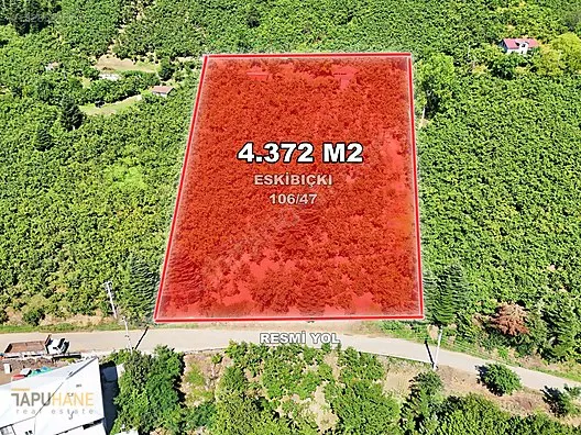 TAPUHANE'DEN E.BIÇKIATİK KÖYÜNDE 4.372 M2 SATILIK FINDIKBAHÇESİ